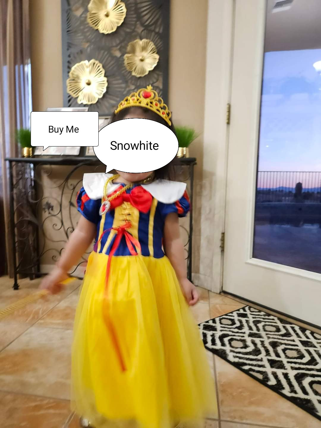 Snow White Costume Used